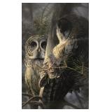 Shelley Hasse 'Ghost Of The Noryhern Woods'