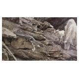 Darren Haley 'Athabasca Spring' 547/2500