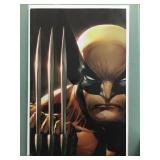 Wolverine #23ILLUMINATI.B (2020)