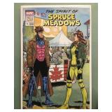 Spirit of Spruce Meadows #1