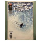 Amazing Spider-Man #556