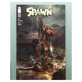 Spawn #315 (2021)