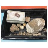 Fossil and Gen Pendant