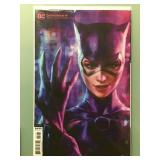 Catwoman #19 (Ian McDonald cover)