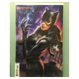 Catwoman #21 (Ian McDonald cover)