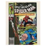 Spectacular Spider-Man #165 (1st series)