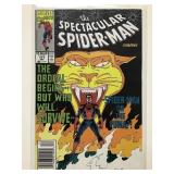 Spectacular Spider-Man #171 (1st series)