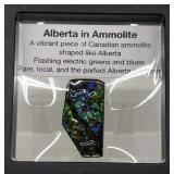 Alberta Ammolite, 16g, 4cmx2cm
