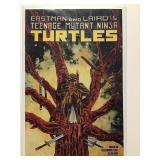 Eastman & Lairds TMNT #42