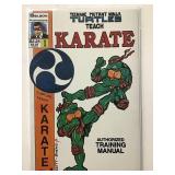 Teenage Mutant Ninja Turtles teach Karate #1