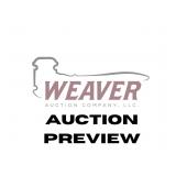Auction Preview