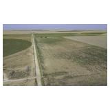 Tract 4 220+/- acre Dryland Tract in Bailey County
