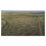 Tract 6 177+/- acre grass tract in Bailey County