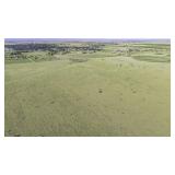 Tract 2 187.27+/- acre CRP Tract in Lamb County
