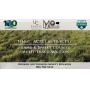 Lamb & Bailey County 1145+/- Acre Multi-Tract Auction