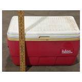 Igloo Cooler