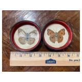 Pressed Butterfly Coasters