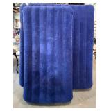 Twin and Queen Inflatable Beds