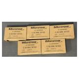 100 Rounds IMI Systems 5.56 MM