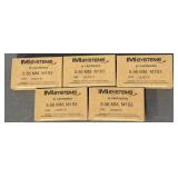 100 Rounds IMI Systems 5.56 MM