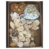 Mixed Shells