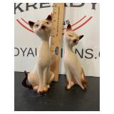 MCM Siamese Cats