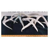 Deer Sheds