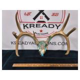Antler Wall Mount
