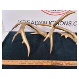 Deer Sheds