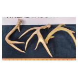 Deer Sheds