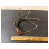 Black Forest Hanging Antler