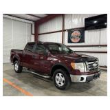 2009 Ford F-150 XLT Pickup V8, 5.4 FFV 4X4