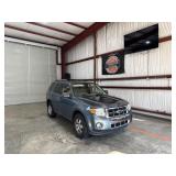 2010 Ford Escape Limited SUV V6, 3 FFV FWD