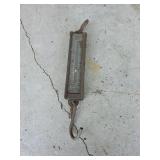 Hanson Hanging Spring Scale
