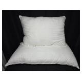 Pillows (2)