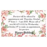 Preview Info