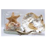 Sea Shell Collection, Etched Pitcher & Dolphin