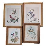 4 Bird Prints & Oilettes