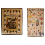 Vintage Chiquita Fruit & Carmel Herbs Posters