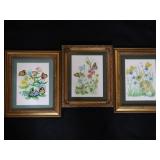 Butterfly / Animal Portrait Prints