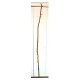Walking Stick w. Natural Vine Twist