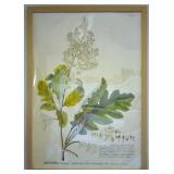 Oversized Botanical Print Poster