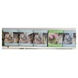 Original & Succulent Kokedama Kits