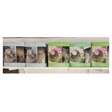 Original & Succulent Kokedama Kits