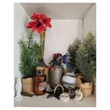 Winter/Christmas Decor