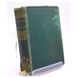 1876 First Edition Alcott Rose In Bloom Book