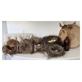 Birds Nests, Wood Slice & More