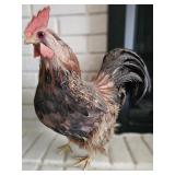 Feathered Faux Chicken Figure