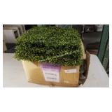 2nd Floor - 12 Pack 20" x 20" Wall Covering Hedge