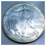 2006 American Silver Eagle Uncirculated